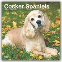 Cocker Spaniels 2020 Square