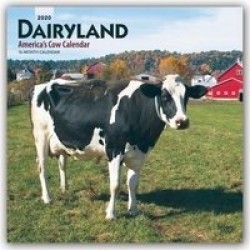 Dairyland America's Cow Calendar 2020 Square