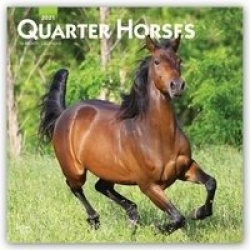 Quarter Horses 2021 Square