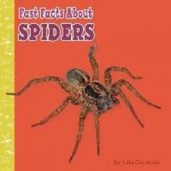 Fast Facts about Spiders
