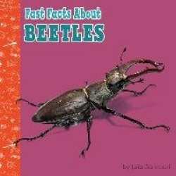 Fast Facts about Beetles