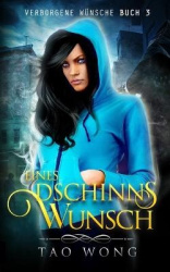 Eines Dschinns Wunsch - Eine LitRPG Urban Fantasie