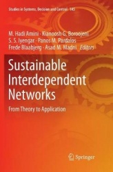 Sustainable Interdependent Networks : From Theory to Application