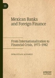 Mexican Banks and Foreign Finance - From Internationalization to Financial Crisis, 1973–1982