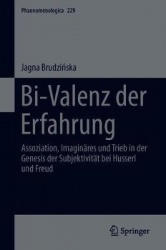 Bi-Valenz der Erfahrung : Assoziation, Imaginäres und Trieb in der Genesis der Subjektivität bei Husserl und Freud