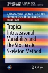 Tropical Intraseasonal Variability and the Stochastic Skeleton Method