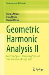 Geometric Harmonic Analysis II - Function Spaces Measuring Size and Smoothness on Rough Sets