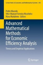Advanced Mathematical Methods for Economic Efficiency Analysis : Theory and Empirical Applications
