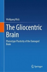 The Gliocentric Brain - Phenotype Plasticity of the Damaged Brain