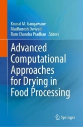 Advanced Computational Approaches for Drying in Food Processing
