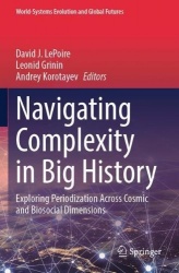 Navigating Complexity in Big History - Exploring Periodization Across Cosmic and Biosocial Dimensions