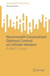Nonsmooth Constrained Optimal Control on Infinite Horizon : A Brief Course