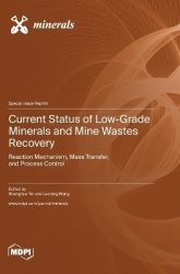 Current Status of Low-Grade Minerals and Mine Wastes Recovery - Reaction Mechanism, Mass Transfer, and Process Control