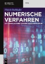 Numerische Verfahren - zur Lösung groβer linearer Gleichungssysteme