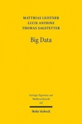 Big Data - Rahmenbedingungen im europäischen Datenschutz- und Immaterialgüterrecht und übergreifende Reformperspektive