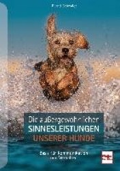 Die außergewöhnlichen Sinnesleistungen unserer Hunde