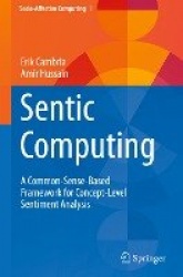 Sentic Computing : A Common-Sense-Based Framework for Concept-Level Sentiment Analysis