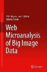 Web Microanalysis of Big Image Data