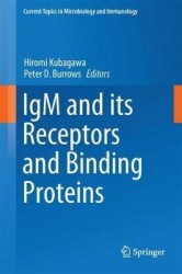 IgM and Its Receptors and Binding Proteins