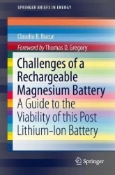 Challenges of a Rechargeable Magnesium Battery : A Guide to the Viability of this Post Lithium-Ion Battery