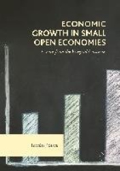 Economic Growth in Small Open Economies - Lessons from the Visegrad Countries