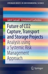 Future of CO2 Capture, Transport and Storage Projects : Analysis using a Systemic Risk Management Approach
