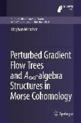 Perturbed Gradient Flow Trees and A∞-algebra Structures in Morse Cohomology
