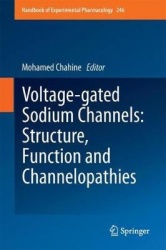 Voltage-gated Sodium Channels: Structure, Function and Channelopathies
