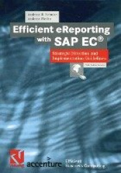 Efficient eReporting with SAP EC® : Strategic Direction and Implementation Guidelines
