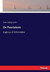 On Pourtalesia - A genus of Echinoidea