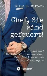 Chef, Sie sind gefeuert! - Kurioses und Nachdenkliches aus dem Berufsalltag eines Personalmanagers