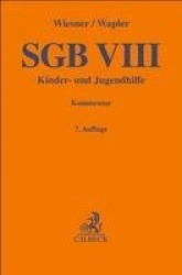 SGB VIII