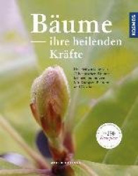 Bäume&die heilende Kraft des Waldes