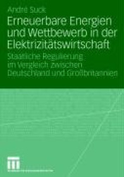 Erneuerbare Energien und Wettbewerb in der Elektrizitätswirtschaft : Staatliche Regulierung im Vergleich zwischen