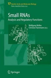 Small RNAs: - Analysis and Regulatory Functions