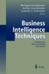 Business Intelligence Techniques - A Perspective from Accounting and Finance