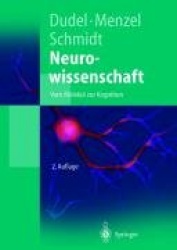 Neurowissenschaft - Vom Molekul Zur Kognition