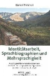Identitaetsarbeit, Sprachbiographien und Mehrsprachigkeit - Autobiographisch-narrative Interviews mit Walisern zur sprachlichen 