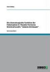 Die dramaturgische Funktion der Fokalisation in Theodor Fontanes Kriminalnovelle Unterm Birnbaum