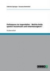Delinquenz Im Jugendalter - Welche Rolle Spielen Sozialraum Und Arbeitslosigkeit?