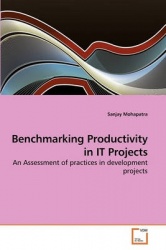 Benchmarking Productivity in IT Projects