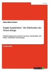 Fragile Staatlichkeit - Ein Nahrboden der Neuen Kriege - Stabilisierungsprozesse zwischen externem 