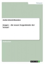 Jungen - die neuen Sorgenkinder der Schule?