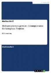 Multiprojektmanagement - Lösungsansätze für komplexe Projekte