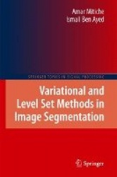 Variational and Level Set Methods in Image Segmentation