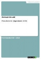 Praxisbericht - Jugendamt (ASD)
