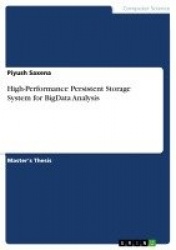 High-Performance Persistent Storage System for BigData Analysis