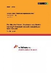 The War for Talent. Gewinnen und Binden von High Potentials am sich wandelnden Arbeitsmarkt