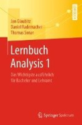 Lernbuch Analysis 1 : Das Wichtigste ausführlich für Bachelor und Lehramt