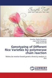 Genotyping of Different Rice Varieties by polymerase chain reaction